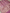Pure Katan Silk Banarasi Sarees With Multi Colour Mina Work - Pink