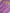 Pure Kora Silk Handloom Saree with Sona Rupa Zari in Lavender colour