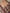 Rose Gold Pure Tissue Silk Ropa Sona Kadiyal Booti Handloom Banarasi sarees