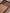 Rose Gold Pure Tissue Silk Ropa Sona Kadiyal Booti Handloom Banarasi sarees