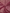 Pink Colour Fancy Katan Silk Banarasi Saree with  Jaqart Boluse