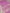 Pure Georgette kadua Banarasi Handloom Saree - Levender