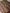 Wine Pure Katan Silk kadiyal Jaal Handloom Banarasi Sarees