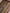 Wine Pure Katan Silk kadiyal Jaal Handloom Banarasi Sarees